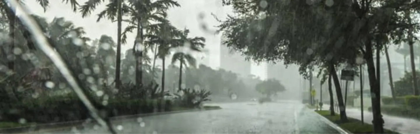 How to Prepare for Hurricane Season